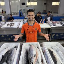 فیله سالمون اصل نروژی